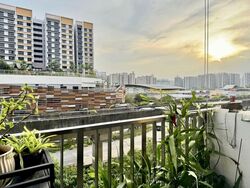 Blk 336C Anchorvale Cove (Sengkang), HDB 5 Rooms #543499611
